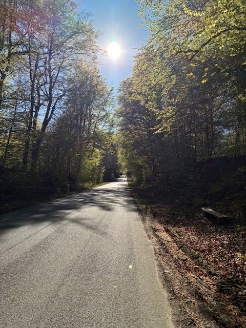 Skovallé i Middelfart
