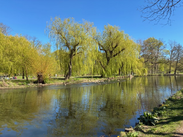 Forår ved Odense å